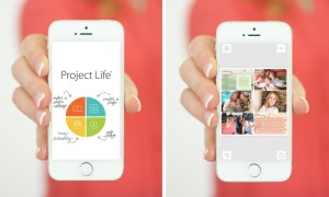 Project Life Android apk v1.0.1 (MEGA)