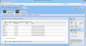 WiFi File Transfer Pro Android apk v1.0.9 (MEGA)