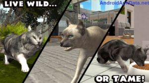Ultimate Cat Simulator Android apk v1.1 (MEGA)