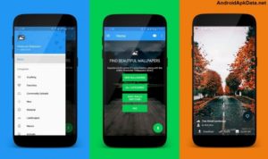 Absolutely Walls Pro BETA Android apk v0.2 (MEGA)