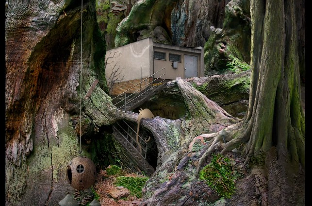 Samo-rost 1 games apks